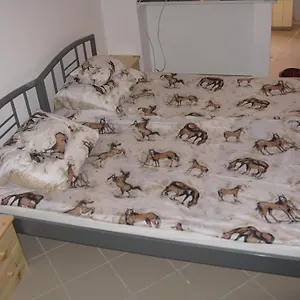  Pensjonat Karpati